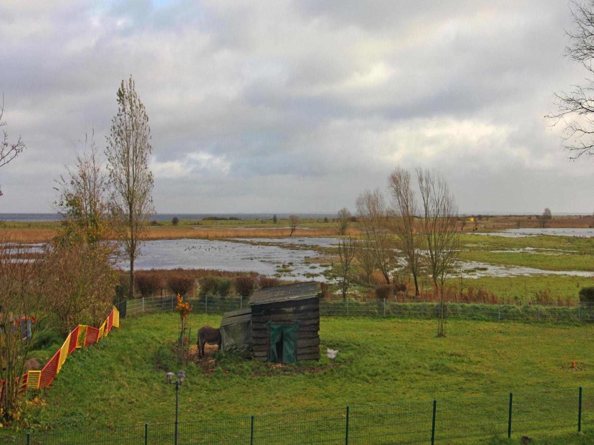 Holiday Complex Schuldt, Behrensdorf Exteriör bild